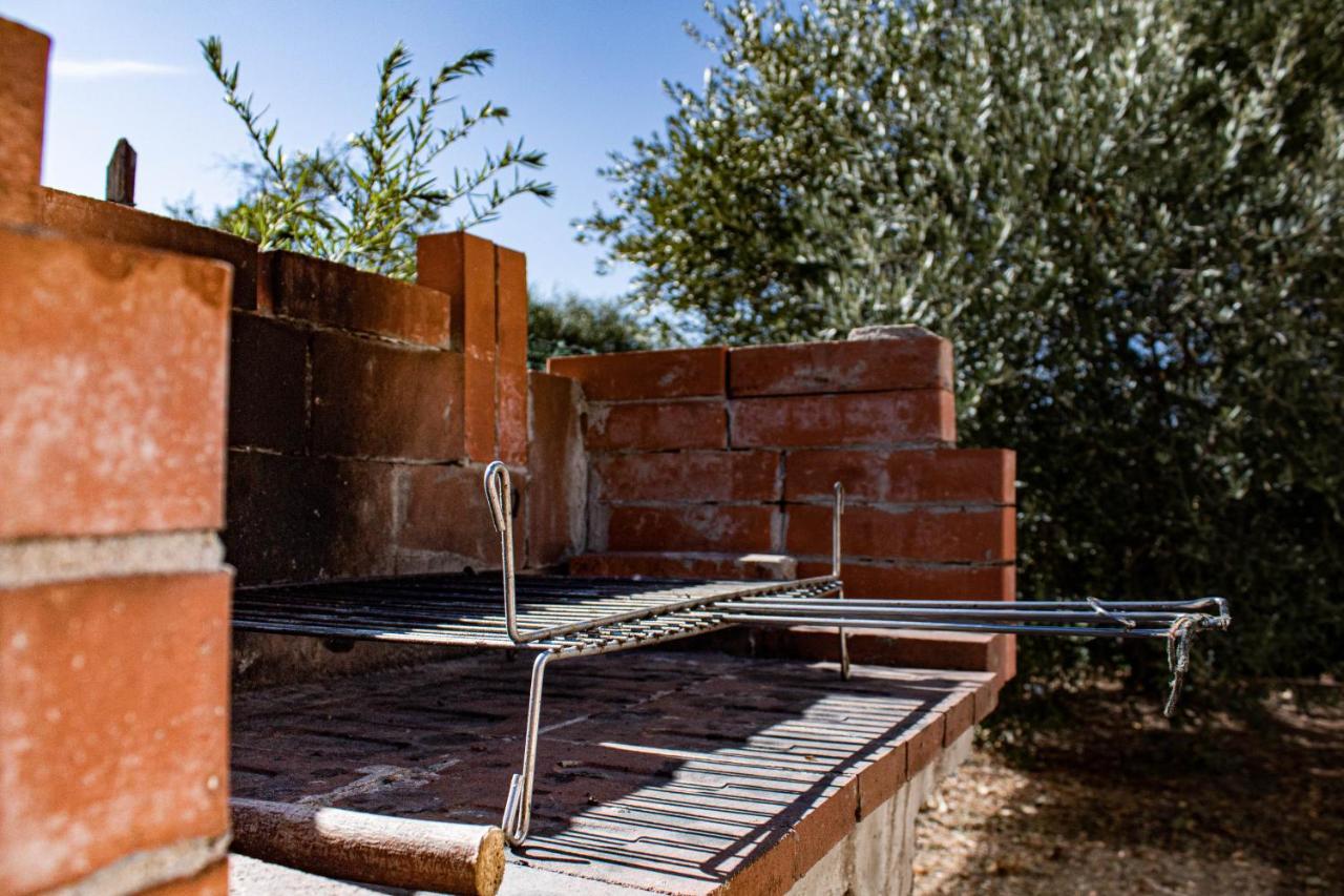 Corte Dell'Ulivo Daire San Giuliano Terme Dış mekan fotoğraf