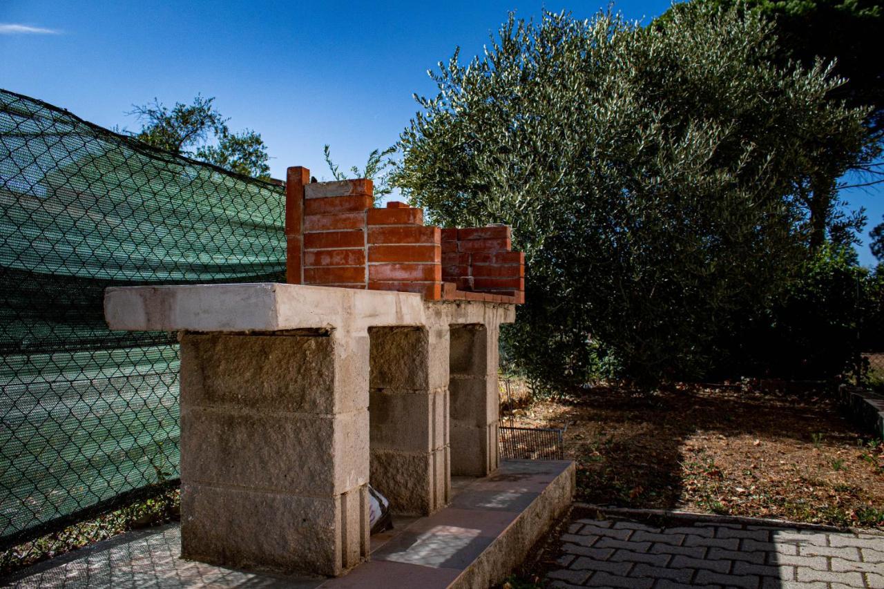 Corte Dell'Ulivo San Giuliano Terme Dış mekan fotoğraf